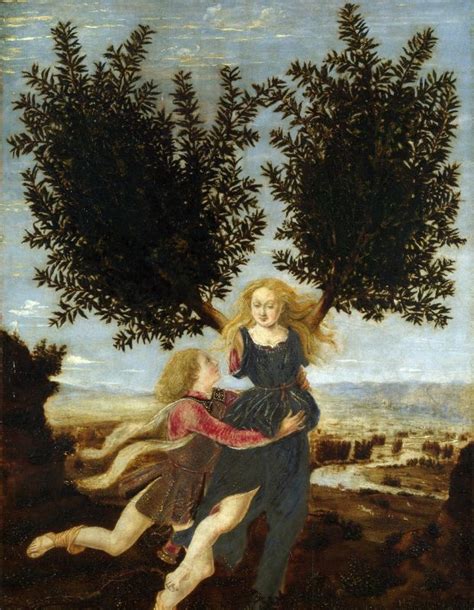 illustration d'une nymphe Daphné se transformant en laurier