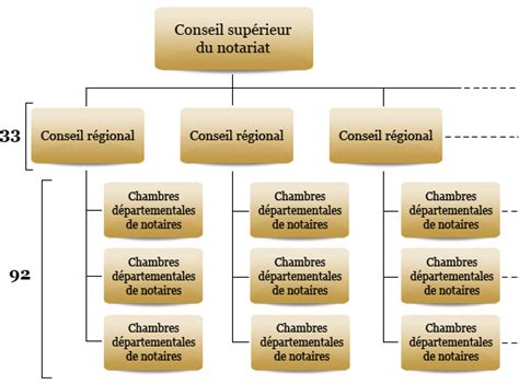 Schéma illustrant l'organisation des études notariales et le rôle du collaborateur dans un office