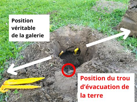 Schéma illustrant la pose d'un piège à bière enterré au ras du sol pour protéger les légumes