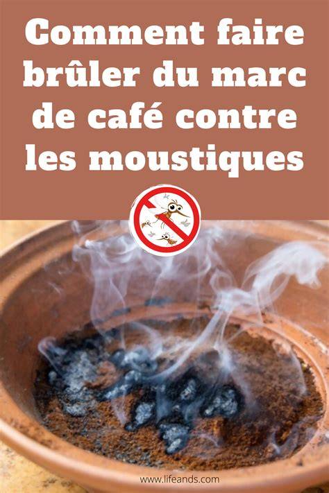 marc de café pour repousser les moustiques
