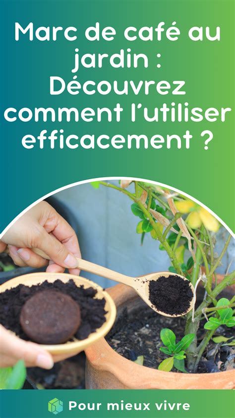 jardin avec des plantes fertilisées au marc de café
