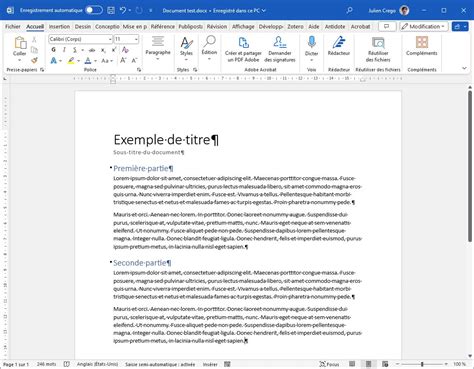 Exemple de zones de texte avec bordures personnalisées dans un document Word