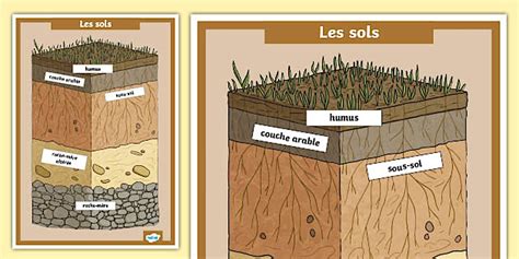 Schéma illustrant l'attrait des oiseaux pour les sols fraîchement semés