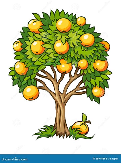 Illustration des racines d'un arbre fruitier