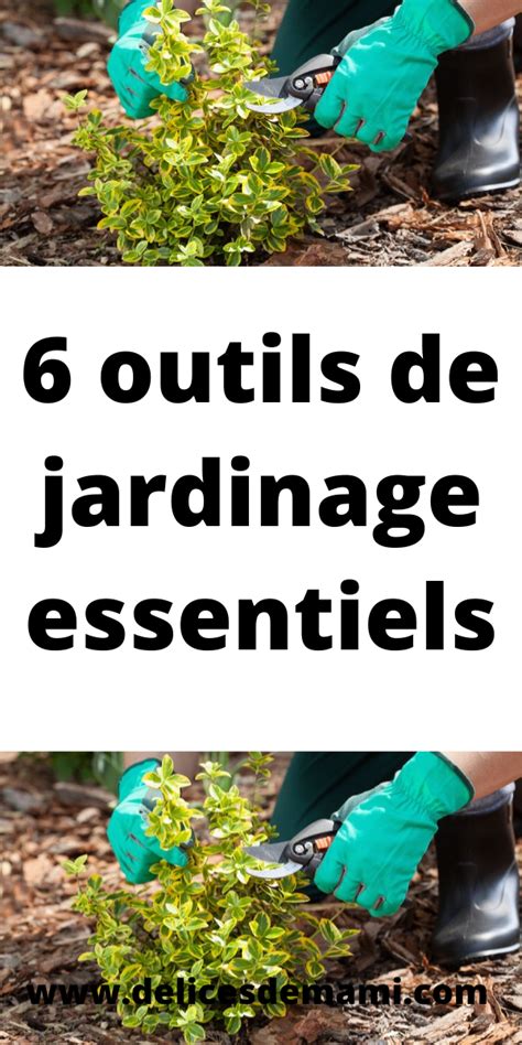 Infographie: Outils de jardinage essentiels