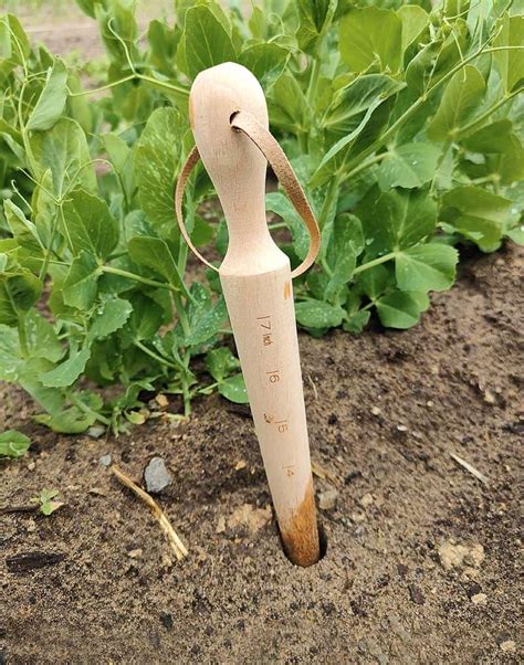 Plantoir pour petites mottes avec une main humaine