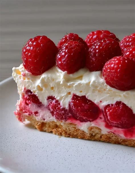 framboisier garni de framboises fraîches