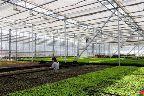Serre agricole moderne avec contrôle climatique