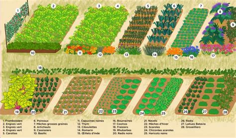 Schéma illustrant l'organisation d'un potager naturel avec outils mutualisés