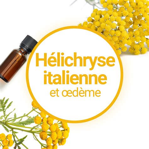 Composition chimique des principaux actifs de l'huile essentielle d'Hélichryse italienne
