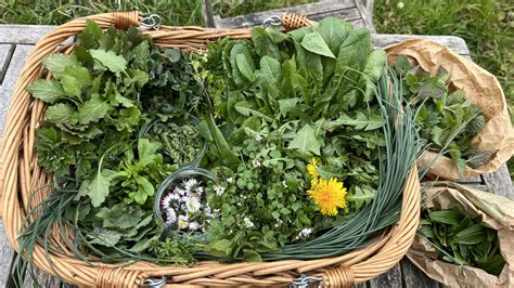 Panier de cueillette sauvage
