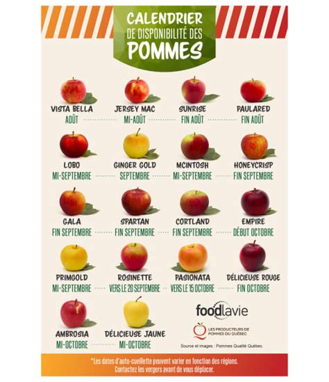 Calendrier de récolte des pommes