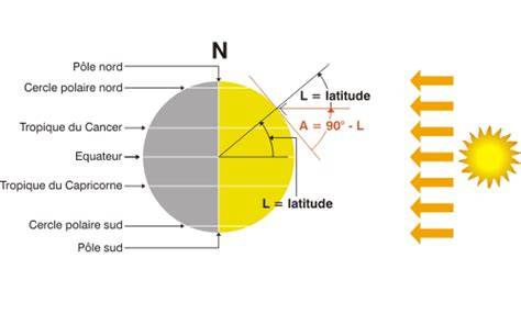 Diagramme des conditions optimales de culture (sol, ensoleillement, température)