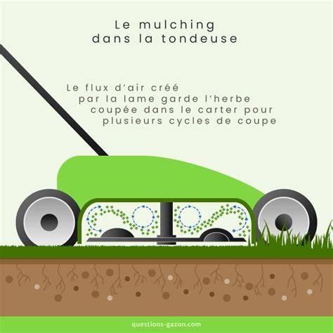 Infographie montrant une tondeuse et une horloge indiquant les créneaux autorisés