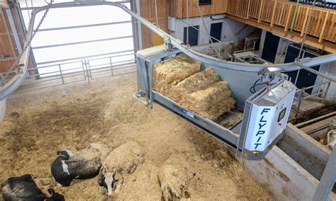 Robot de paillage automatisé dans une stabulation