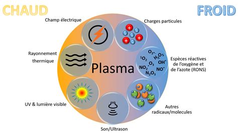 Schéma illustrant la génération de RONS par un plasma froid.