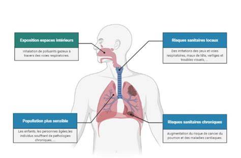 Schéma illustrant les risques physiologiques de l'inhalation de substances toxiques