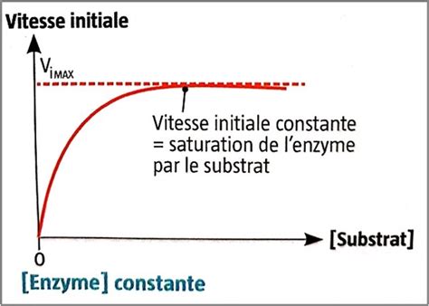 Graphique de composition idéale d'un substrat pour agrumes