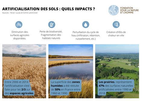 Effets de l'artificialisation des sols