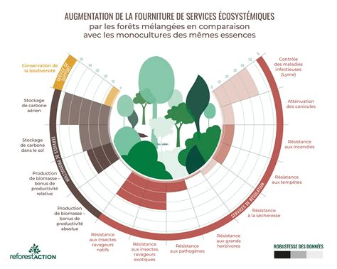 Diversité des essences en forêt