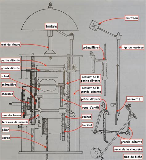 Schéma technique illustrant le mécanisme d'une tête de coupe-bordures et le positionnement correct de la bobine de fil