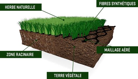 Infographie comparant l'entretien d'une pelouse naturelle classique et d'une pelouse hybride