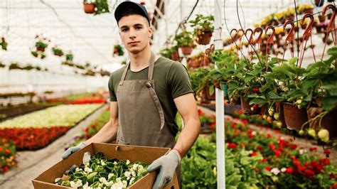 Un horticulteur travaillant dans une serre moderne, entouré de différentes variétés de plantes et de matériel de culture.