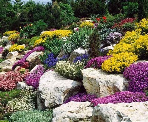 une rocaille fleurie avec des plantes tapissantes blanches et des pierres naturelles