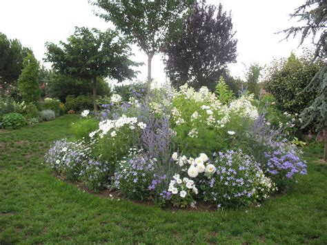 exemple de massif composé de marguerites et de lavandes