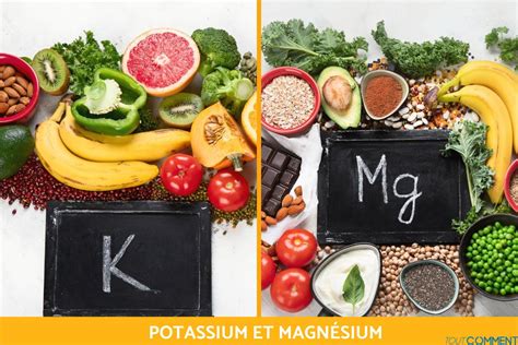 Infographie montrant les interactions et antagonismes entre le Potassium (K) et le Magnésium (Mg) dans le sol
