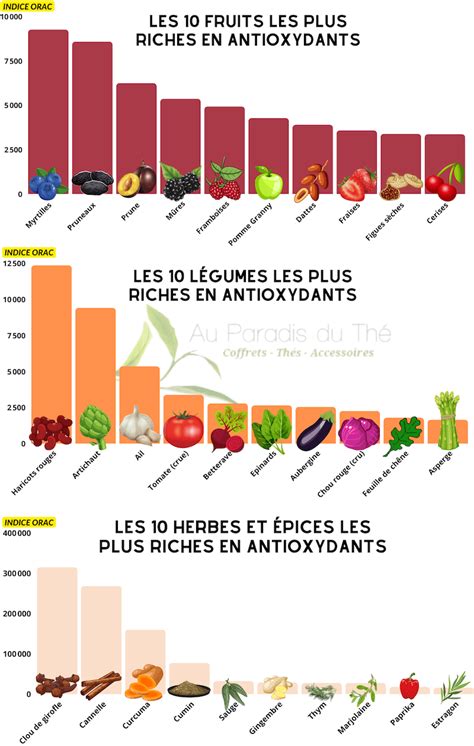 Graphique comparatif des antioxydants : Maté vs Thé Vert
