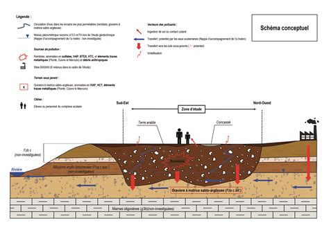 Schéma illustrant l'accumulation de feutre dans une pelouse et l'action bénéfique d'un scarificateur pour l'oxygénation des racines
