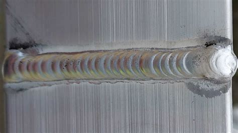 Photographie macro montrant le point de soudure d'une greffe après plusieurs années de cicatrisation