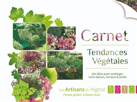 Infographie sur les associations de plantes persistantes et caduques