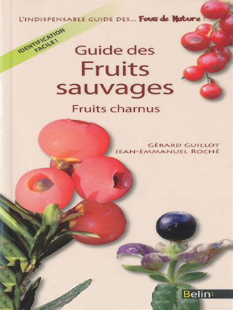 Fruits sauvages variés