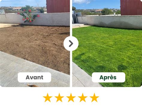 Exemple de pelouse saine après un programme d'entretien régulier