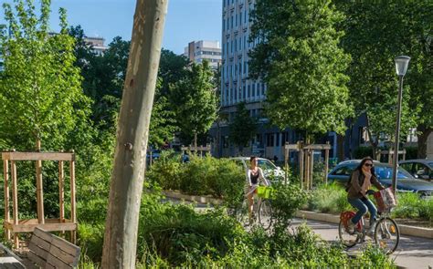 Carte des villes encourageant la végétalisation urbaine