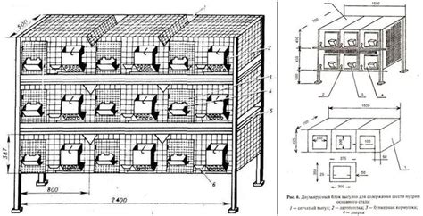 Plan détaillé d'une cage de lapin avec les dimensions minimales et des accessoires de jeu