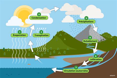 Schéma explicatif du cycle de l'eau et de l'impact de la sécheresse sur les nappes phréatiques