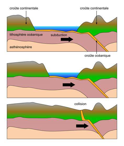 Schéma illustrant la convergence entre les cycles agricoles, les influences cosmiques et les préparations biodynamiques.