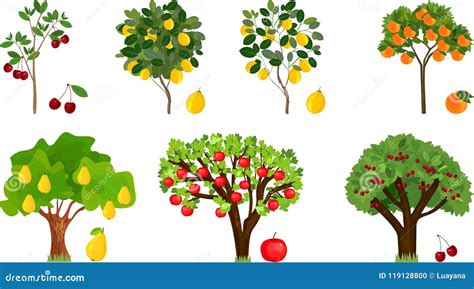 Illustration d'un alphabet de lettres et de différents arbres fruitiers