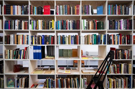 Image d'une bibliothèque avec des livres ouverts et des plantes en arrière-plan, symbolisant la connaissance et la nature