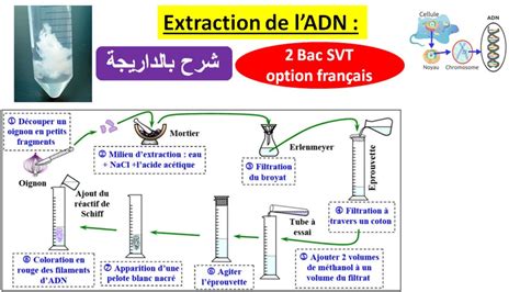 Illustration technique montrant l'extraction automatique de liens depuis un PDF