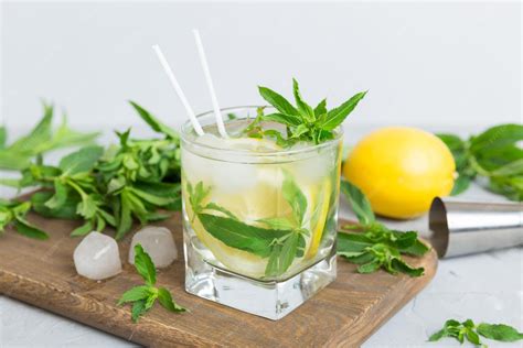 Verre de mocktail d'été avec rondelles de citron et menthe