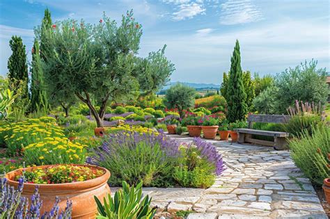 Vue panoramique d'un jardin méditerranéen typique dans le Vaucluse