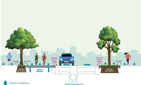 Schéma illustrant le concept de cœur d'îlot végétalisé et les liaisons visuelles avec la rue