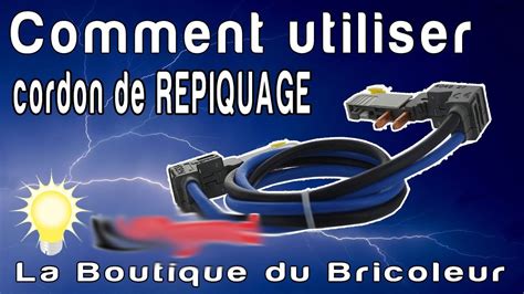 Vue en coupe d'un cordon de repiquage montrant la section des conducteurs