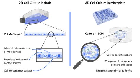 Schéma illustrant l'évolution des techniques de culture cellulaire, de la boîte de Pétri 2D aux systèmes microfluidiques 3D