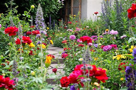 jardin fleuri avec diverses variétés d'hibiscus
