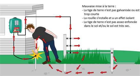 Schéma illustrant l'installation optimale d'une clôture électrique pour protéger un potager des intrusions de blaireaux